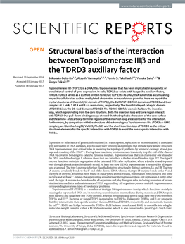 Structural Basis of the Interaction Between Topoisomerase Iiiβ And