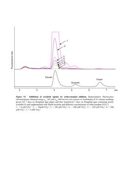 Min 2 3 4 5 6 7 Fluoresce N Ce Mau 1 2 3 4 5 6 7 Esculin Scopolin Fraxin