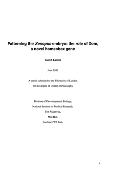 Patterning the Xenopus Embryo: the Role of Xom, a Novel Homeobox