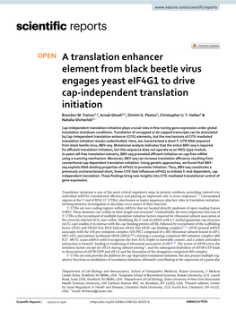 A Translation Enhancer Element from Black Beetle Virus Engages Yeast Eif4g1 to Drive Cap-Independent Translation Initiation