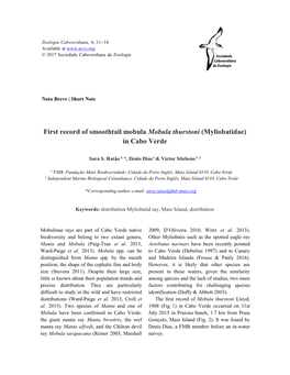 First Record of Smoothtail Mobula Mobula Thurstoni (Myliobatidae) in Cabo Verde