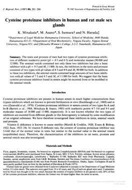 Cysteine Proteinase Inhibitors in Human and Rat Male Sex Glands K