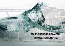 MARSELISBORG REWATER INNOVATION STRATEGY Introduction