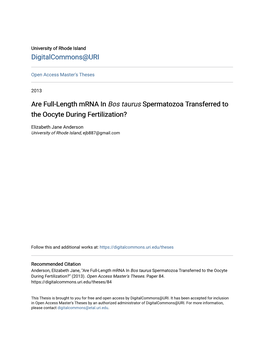 Are Full-Length Mrna in Bos Taurus Spermatozoa Transferred to the Oocyte During Fertilization?