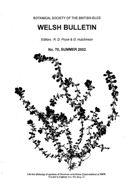 Welsh Bulletin