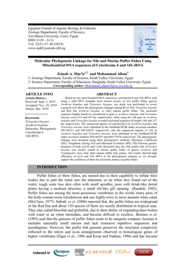 Molecular Phylogenetic Linkage for Nile and Marine Puffer Fishes Using Mitochondrial DNA Sequences of Cytochrome B and 16S Rrna