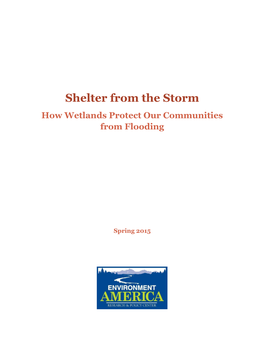 Shelter from the Storm How Wetlands Protect Our Communities from Flooding