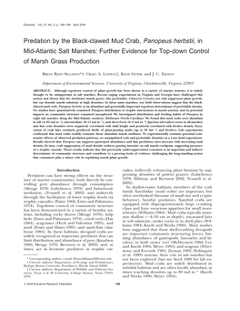 Predation by the Black-Clawed Mud Crab, Panopeus Herbstii, in Mid-Atlantic Salt Marshes: Further Evidence for Top-Down Control of Marsh Grass Production