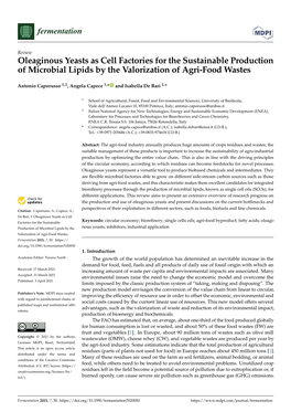 Oleaginous Yeasts As Cell Factories for the Sustainable Production of Microbial Lipids by the Valorization of Agri-Food Wastes