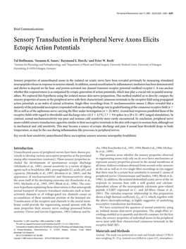 Sensory Transduction in Peripheral Nerve Axons Elicits Ectopic Action Potentials