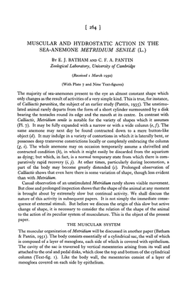 Muscular and Hydrostatic Action in the Sea-Anemone Metridium Senile (L.)