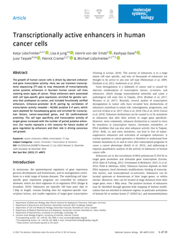 Transcriptionally Active Enhancers in Human Cancer Cells