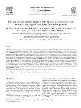 Cell Culture and Animal Infection with Distinct Trypanosoma Cruzi Strains Expressing Red and Green ﬂuorescent Proteins