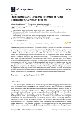Identification and Toxigenic Potential of Fungi Isolated from Capsicum