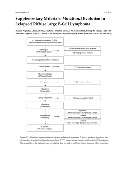 Mutational Evolution in Relapsed Diffuse Large B-Cell Lymphoma