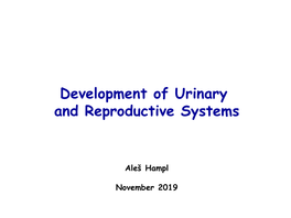 Development of Urinary and Reproductive Systems