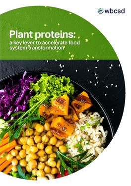 Plant Proteins: a Key Lever to Accelerate Food System Transformation