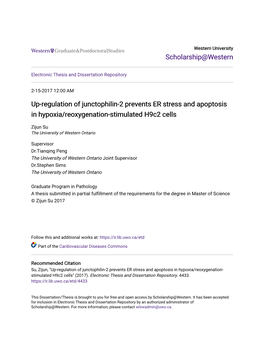 Up-Regulation of Junctophilin-2 Prevents ER Stress and Apoptosis in Hypoxia/Reoxygenation-Stimulated H9c2 Cells