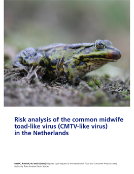 Risk Analysis CMTV-Like Virus April 2013 1