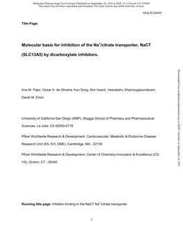 Molecular Basis for Inhibition of the Na /Citrate Transporter, Nact