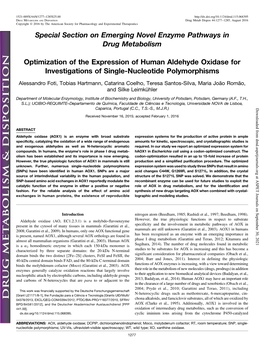 Optimization of the Expression of Human Aldehyde Oxidase for Investigations of Single-Nucleotide Polymorphisms