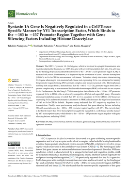 Syntaxin 1A Gene Is Negatively Regulated in a Cell/Tissue