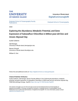 Exploring the Abundance, Metabolic Potential, and Gene Expression of Subseafloor Chloroflexi in Million-Year-Old Oxic and Anoxic Abyssal Clay