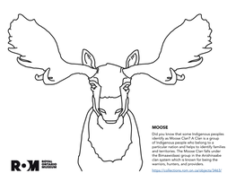 Did You Know That Some Indigenous Peoples Identify As Moose Clan?