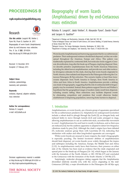 Amphisbaenia) Driven by End-Cretaceous Mass Extinction