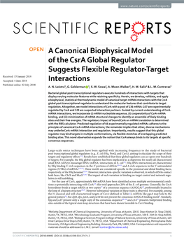A Canonical Biophysical Model of the Csra Global Regulator Suggests