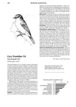 Grey Penduline Tit Also Occurs Widely in Acacia Woodland (Irwin 1981)