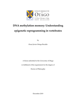 DNA Methylation Memory: Understanding
