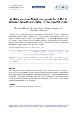 A Sibling Species of Platythyrea Clypeata Forel, 1911 in Southeast Asia (Hymenoptera, Formicidae, Ponerinae)