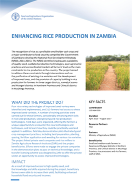 Enhancing Rice Production in Zambia