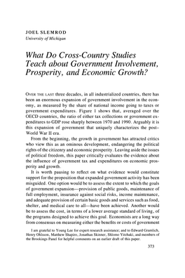 What Do Cross-Country Studies Teach About Government