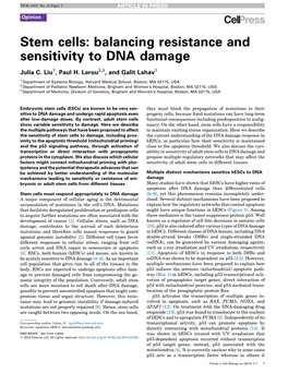 Stem Cells: Balancing Resistance and Sensitivity to DNA Damage