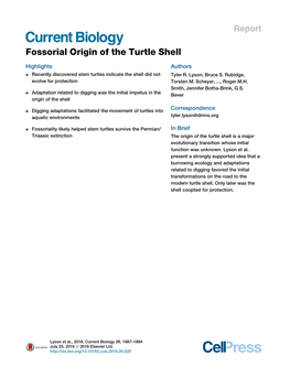 Fossorial Origin of the Turtle Shell