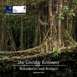 The Circular Economy: Boundaries and Bridges