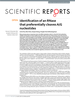 Identification of an Rnase That Preferentially Cleaves A/G Nucleotides