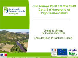 Site Natura 2000 FR 830 1049 Comté D'auvergne Et Puy Saint-Romain