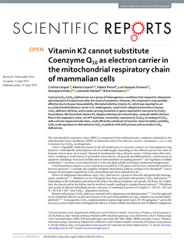 Vitamin K2 Cannot Substitute Coenzyme Q10 As Electron Carrier