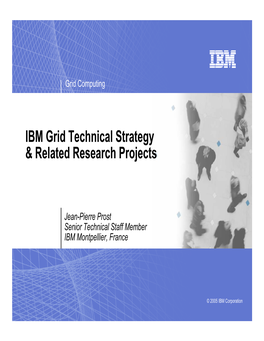 IBM Grid Technical Strategy & Related Research Projects