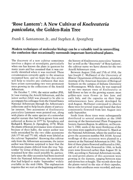'Rose Lantern': a New Cultivar of Koelreuteria Paniculata, the Golden-Rain Tree