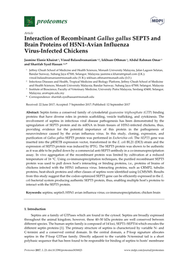 Interaction of Recombinant Gallus Gallus SEPT5 and Brain Proteins of H5N1-Avian Influenza Virus-Infected Chickens