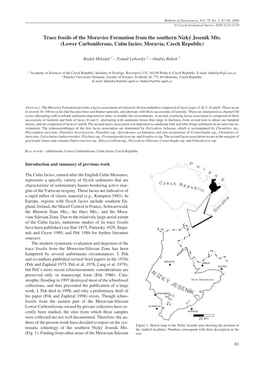 Trace Fossils of the Moravice Formation from the Southern Nízký Jeseník Mts. (Lower Carboniferous, Culm Facies; Moravia, Czech Republic)