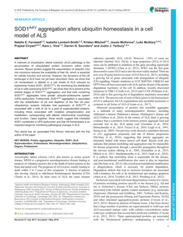 SOD1A4V Aggregation Alters Ubiquitin Homeostasis in a Cell Model of ALS Natalie E