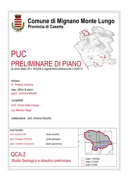PRELIMINARE DI PIANO (Ai Sensi Della LR.N.16/2004 E Regolamento D'attuazione N.5/2011)