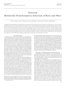 <I>Bordetella Bronchiseptica</I>