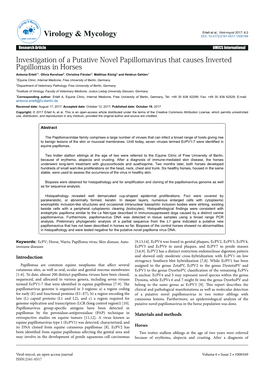 Investigation of a Putative Novel Papillomavirus That Causes Inverted