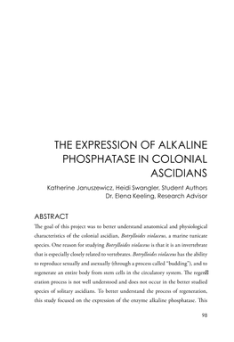 The Expression of Alkaline Phosphatase in Colonial Ascidians